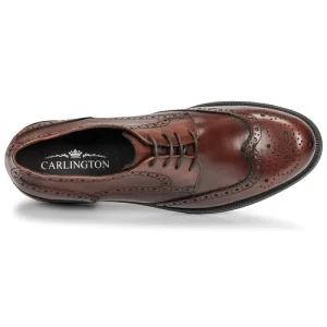 Carlington – LOUVIAN Marron 18