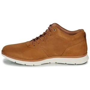 Timberland – KILLINGTON HALF CAB Cognac 14