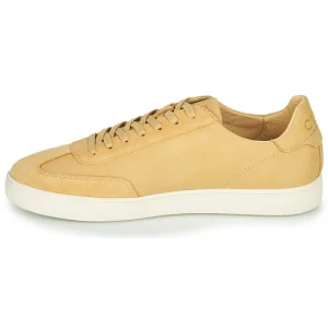 Clae – DEANE Camel 14