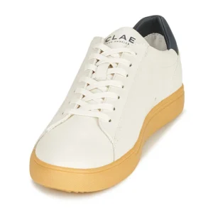 Clae – BRADLEY CACTUS Blanc / Bleu 12