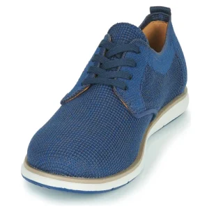 Camper – SMITH Bleu 12