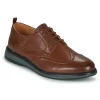 Clarks – CHANTRY WING Marron 22