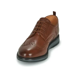 Clarks – CHANTRY WING Marron 12