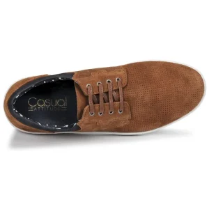 Casual Attitude – OZON Camel 18