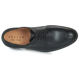 Pellet – MAGELLAN Noir 18