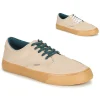 Element – TOPAZ C3 Beige / Gum 22