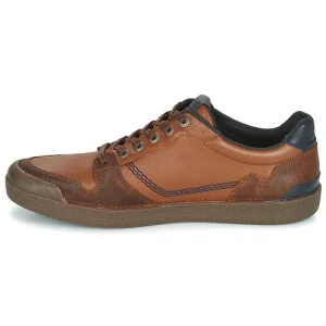 Kickers – TRIGOLO Marron 14