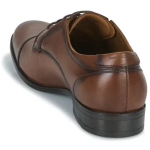 Aldo – CORTLEYFLEX Marron 16