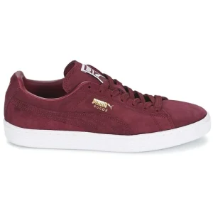 Puma – SUEDE CLASSIC + Bordeaux 10