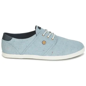 Faguo – CYPRESS COTTON Bleu 10