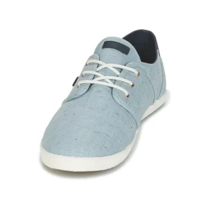 Faguo – CYPRESS COTTON Bleu 12