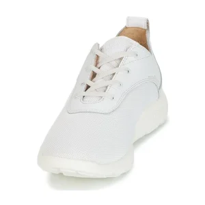 Timberland – FLYROAM Blanc 12