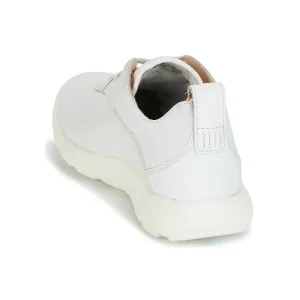 Timberland – FLYROAM Blanc 16